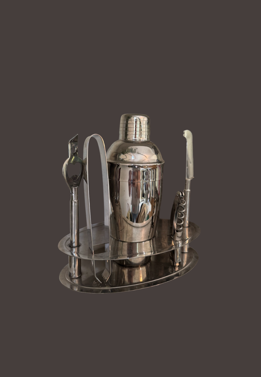 Modern 5 Piece Martini and Shaker Set