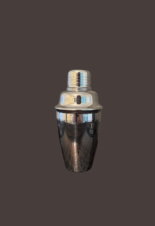 Modern One Cup Stainless Shaker